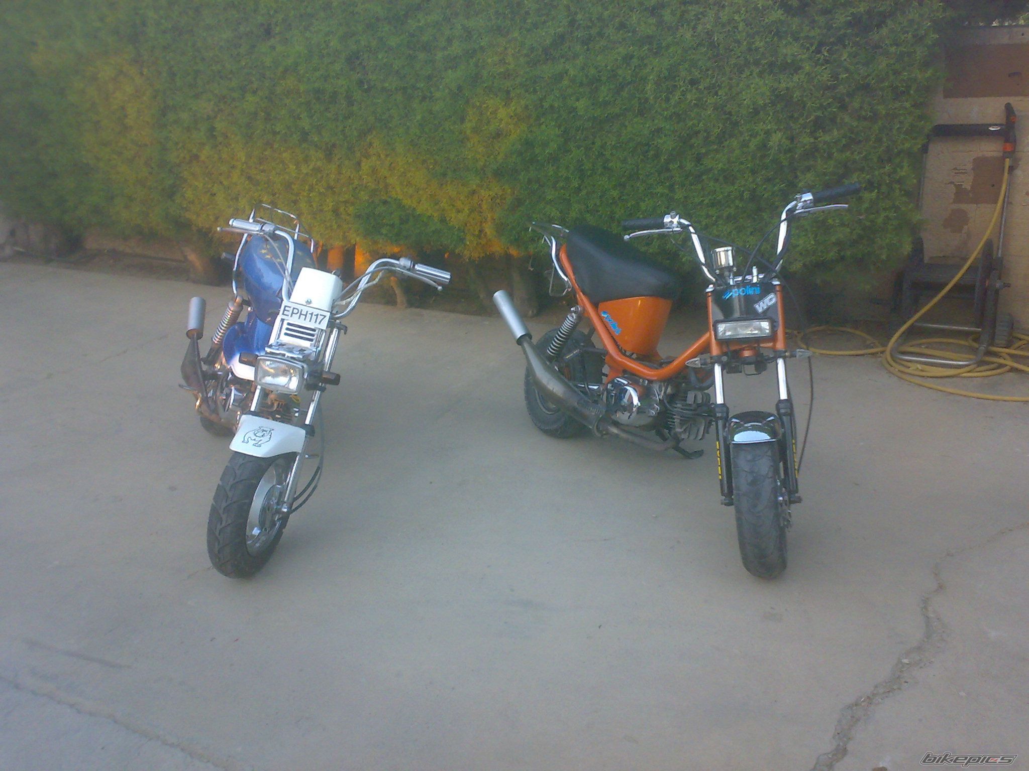 Photo 1392607