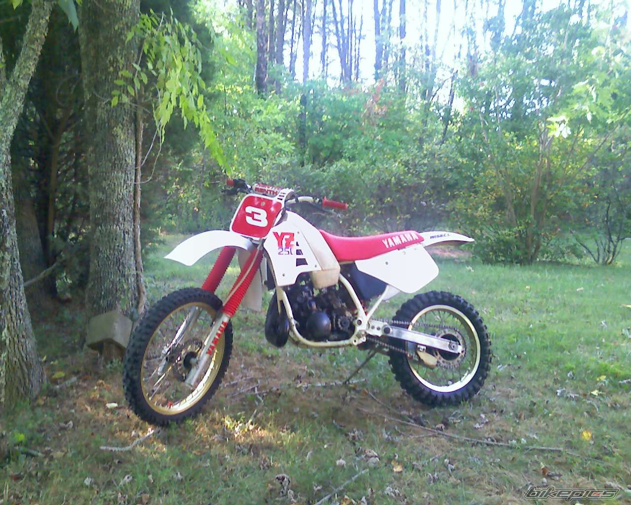 Bike Photo 1392631