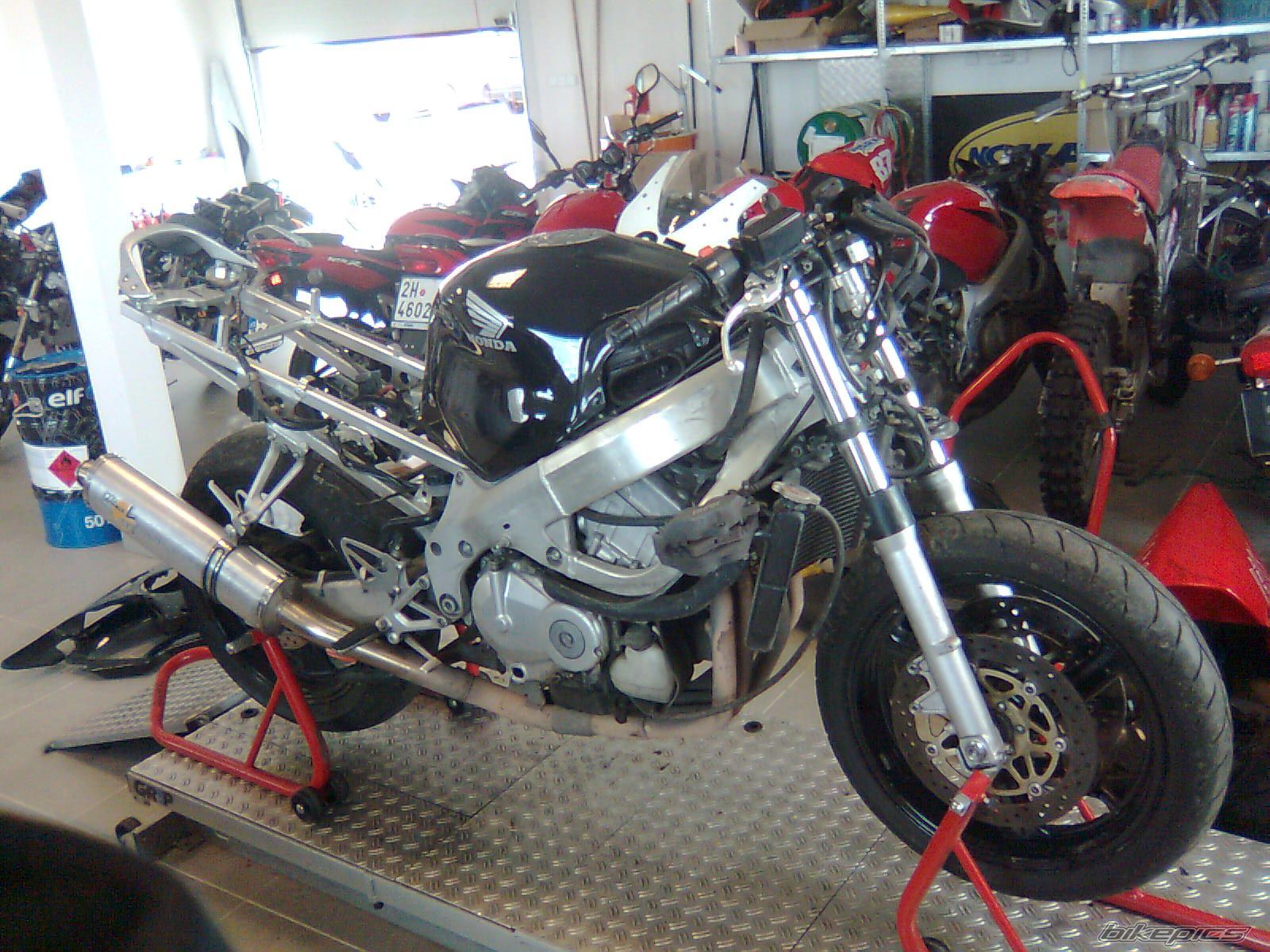 Photo 1392745