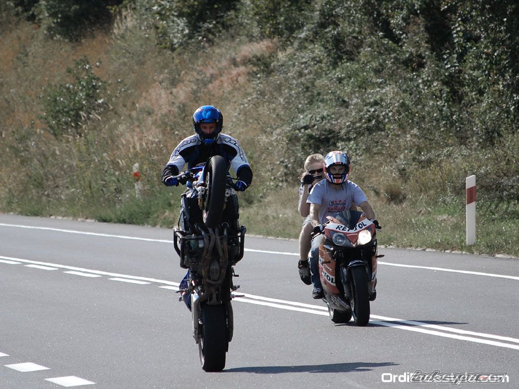 Photo 1392795