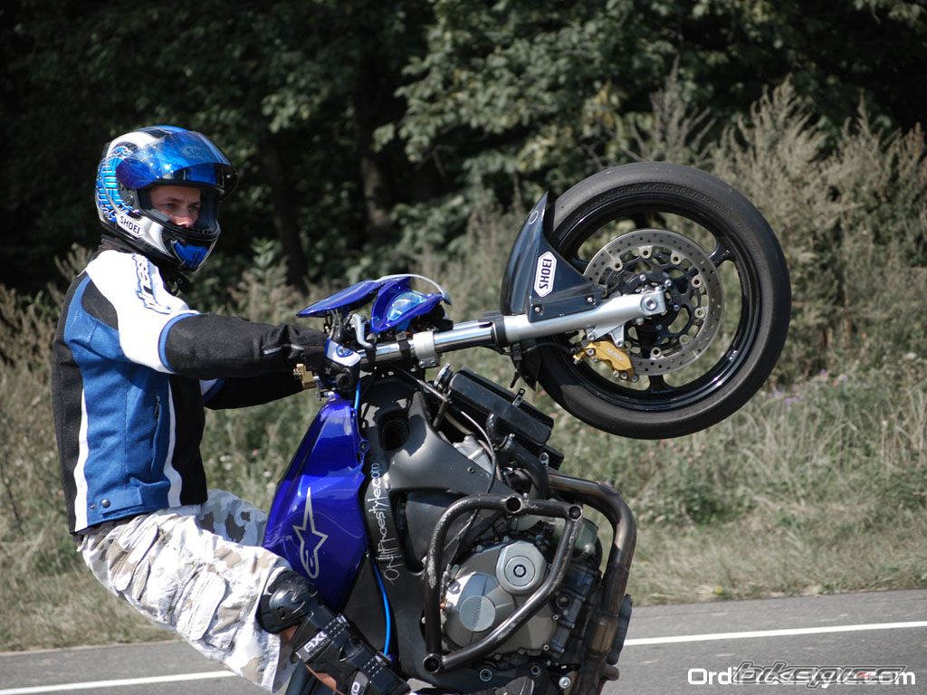 Photo 1392799
