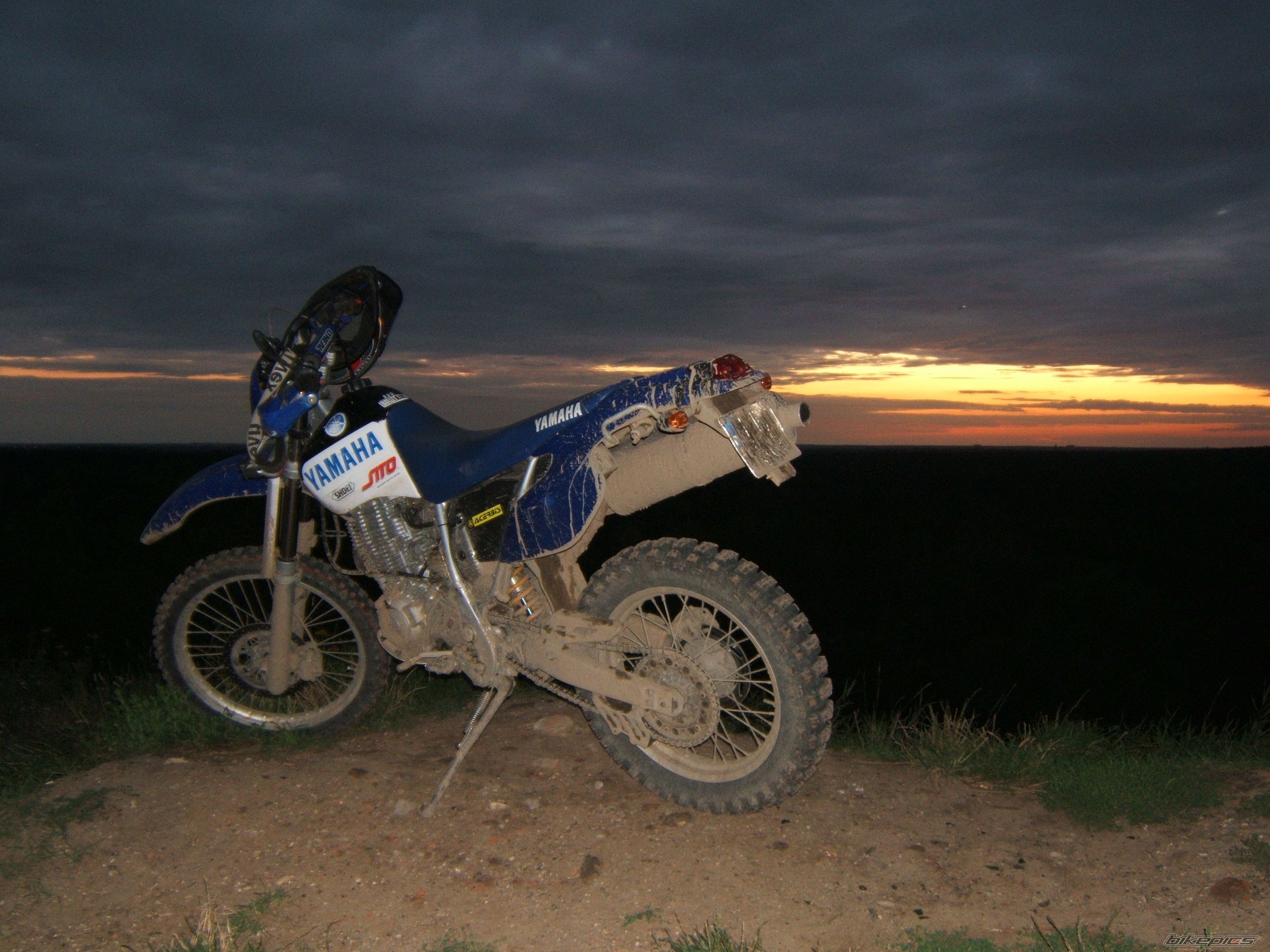 Photo 1392804