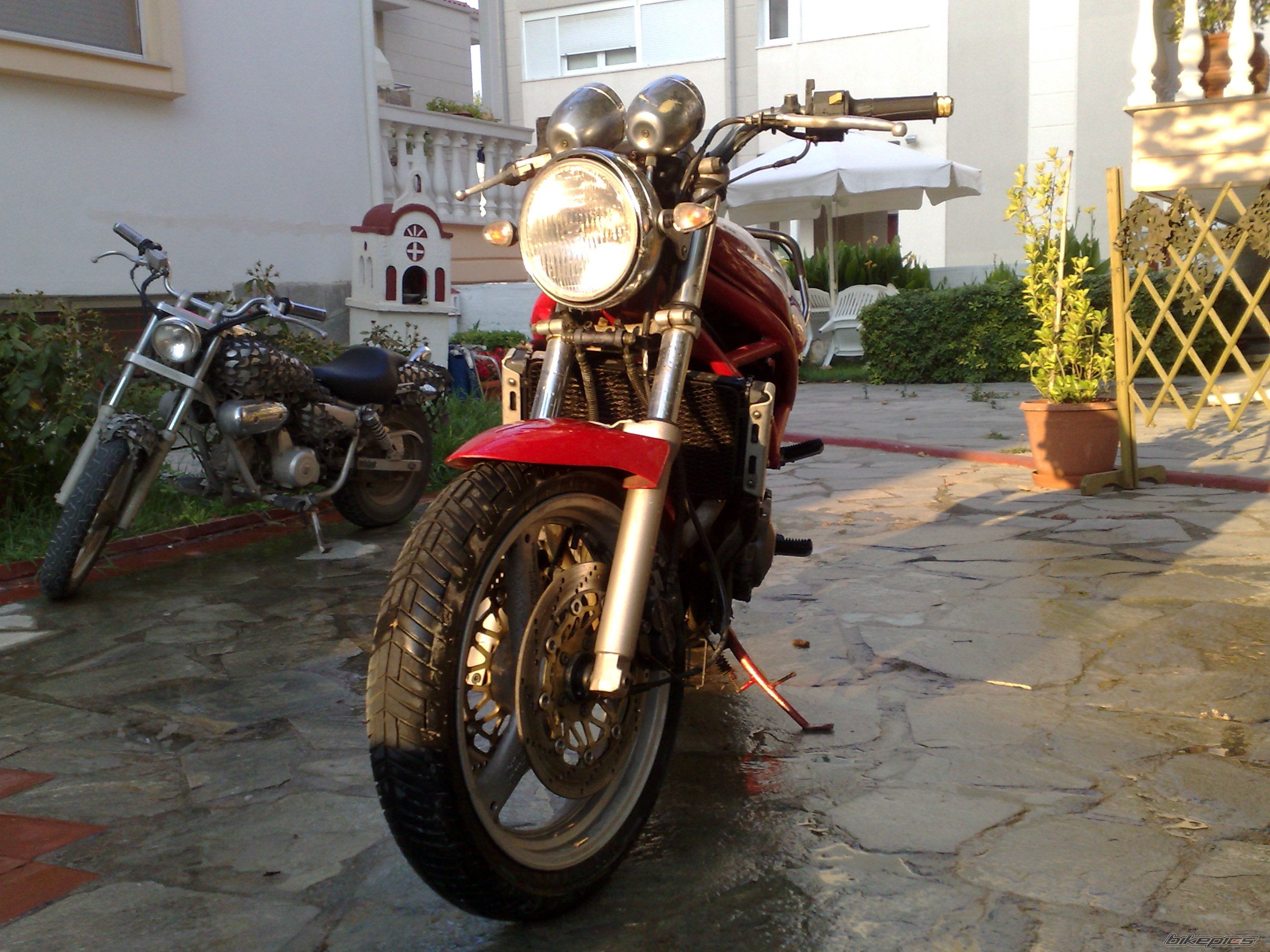 Photo 1392881
