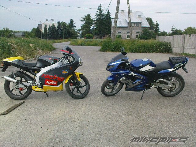 Photo 1393011