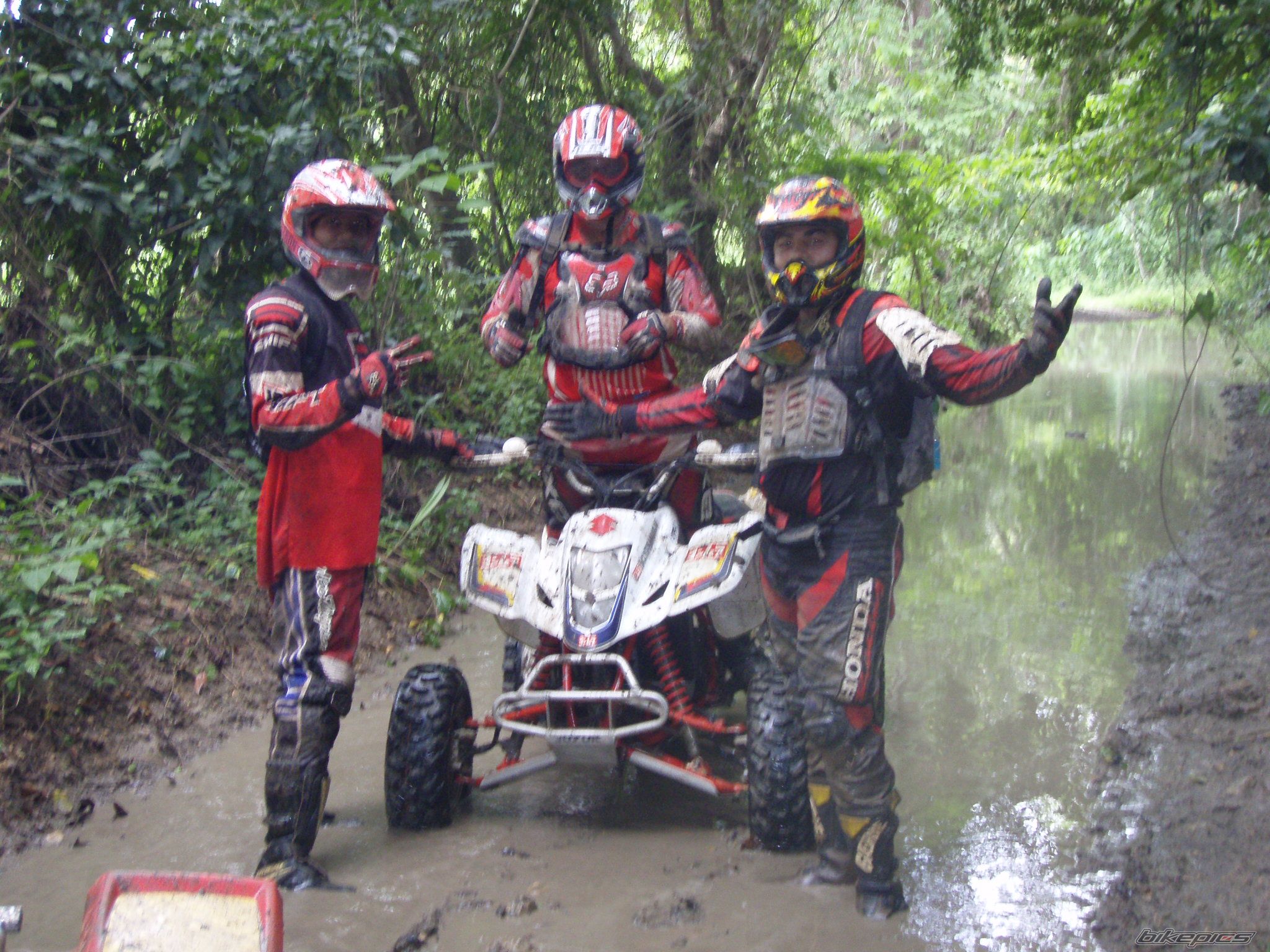 Photo 1393015