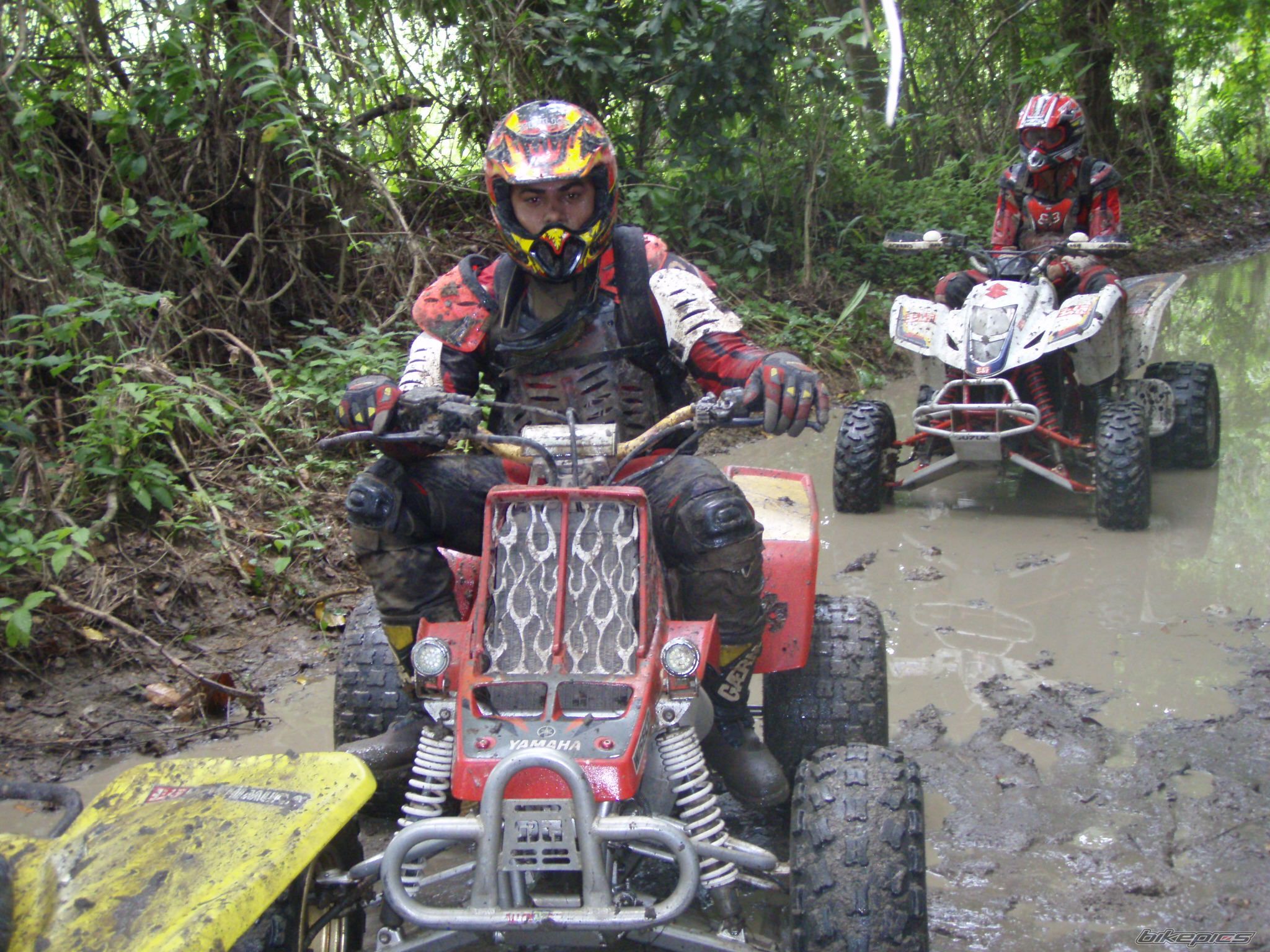 Photo 1393017