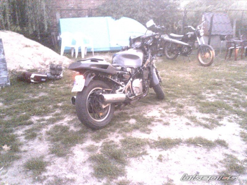 Photo 1393054
