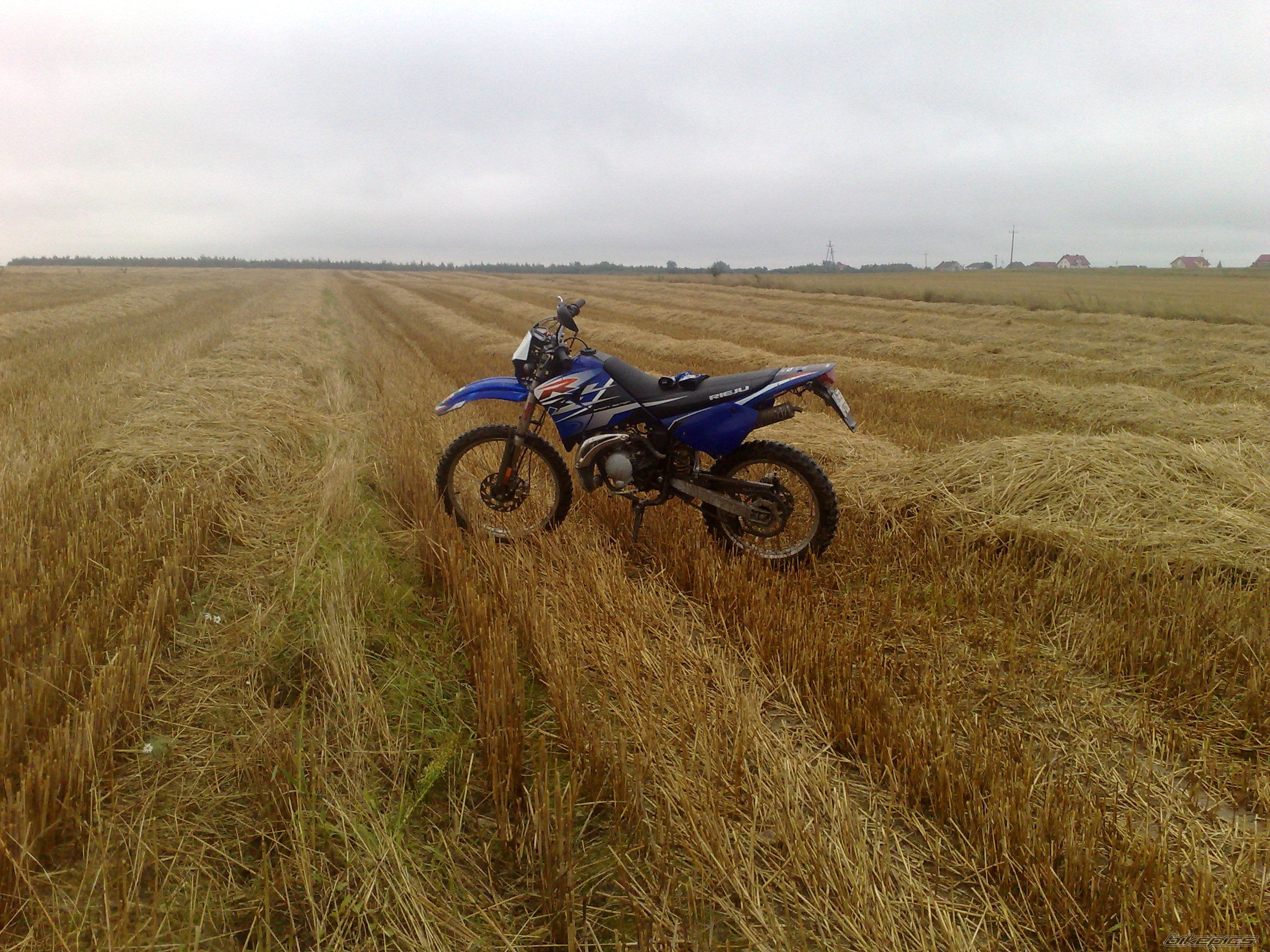 Photo 1393066