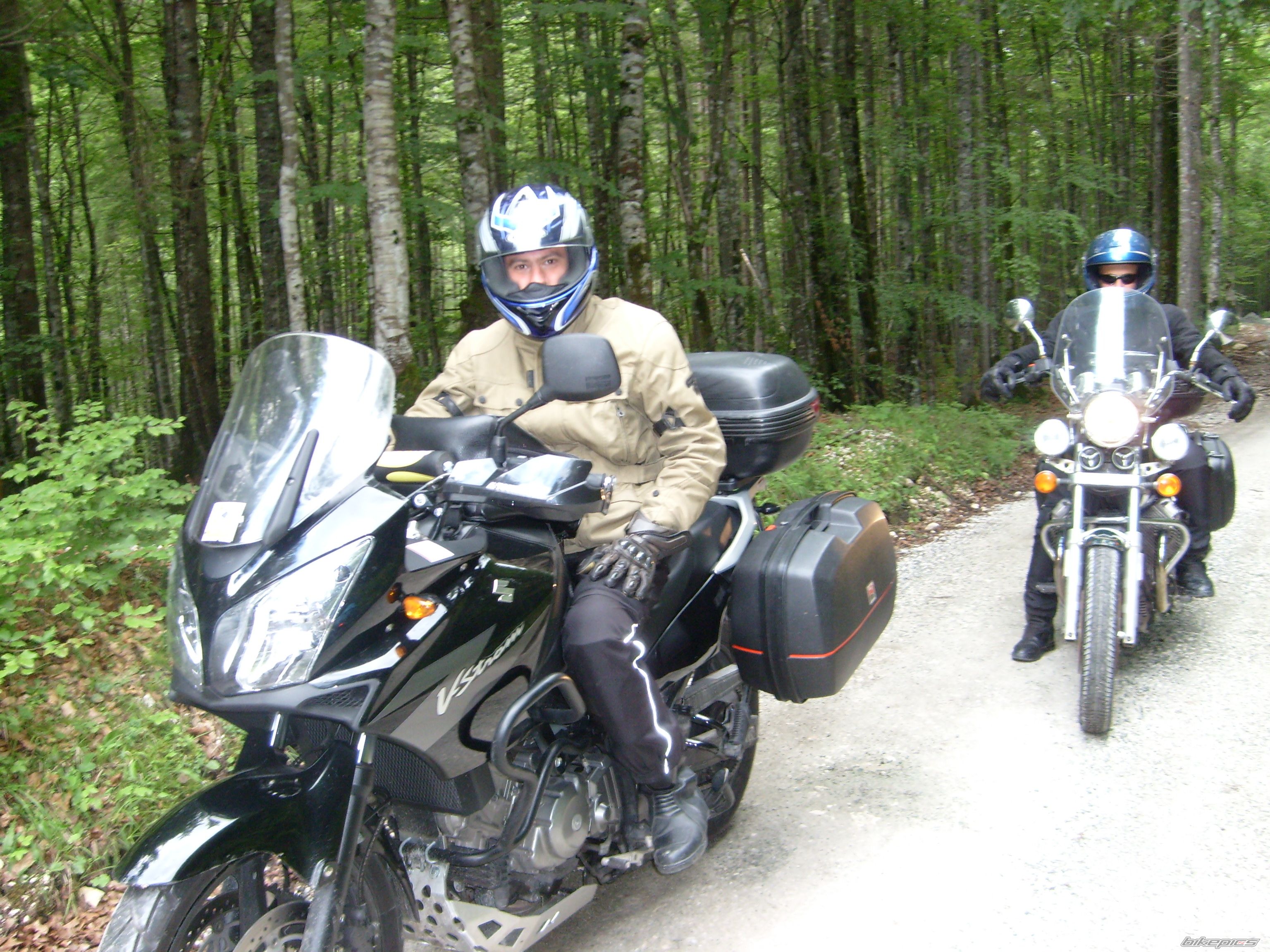 Photo 1393068