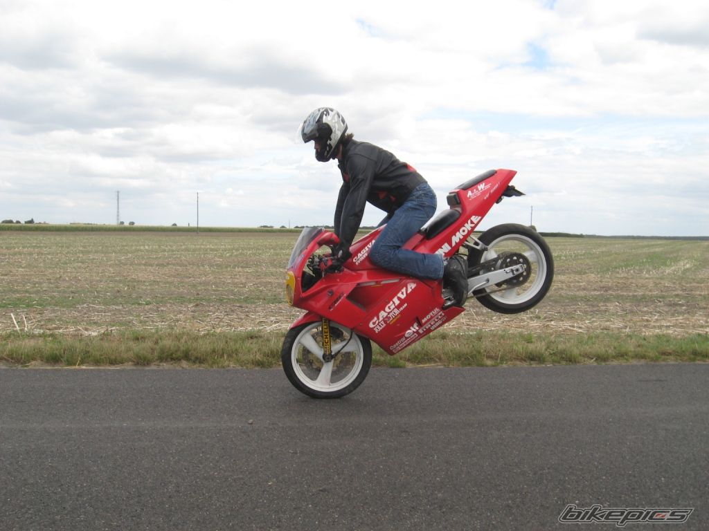 Photo 1393070