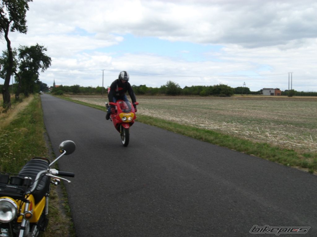Photo 1393081