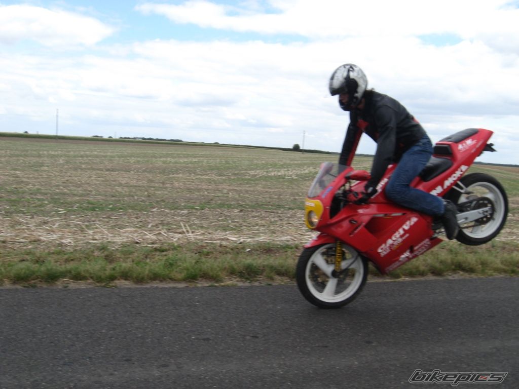Photo 1393082