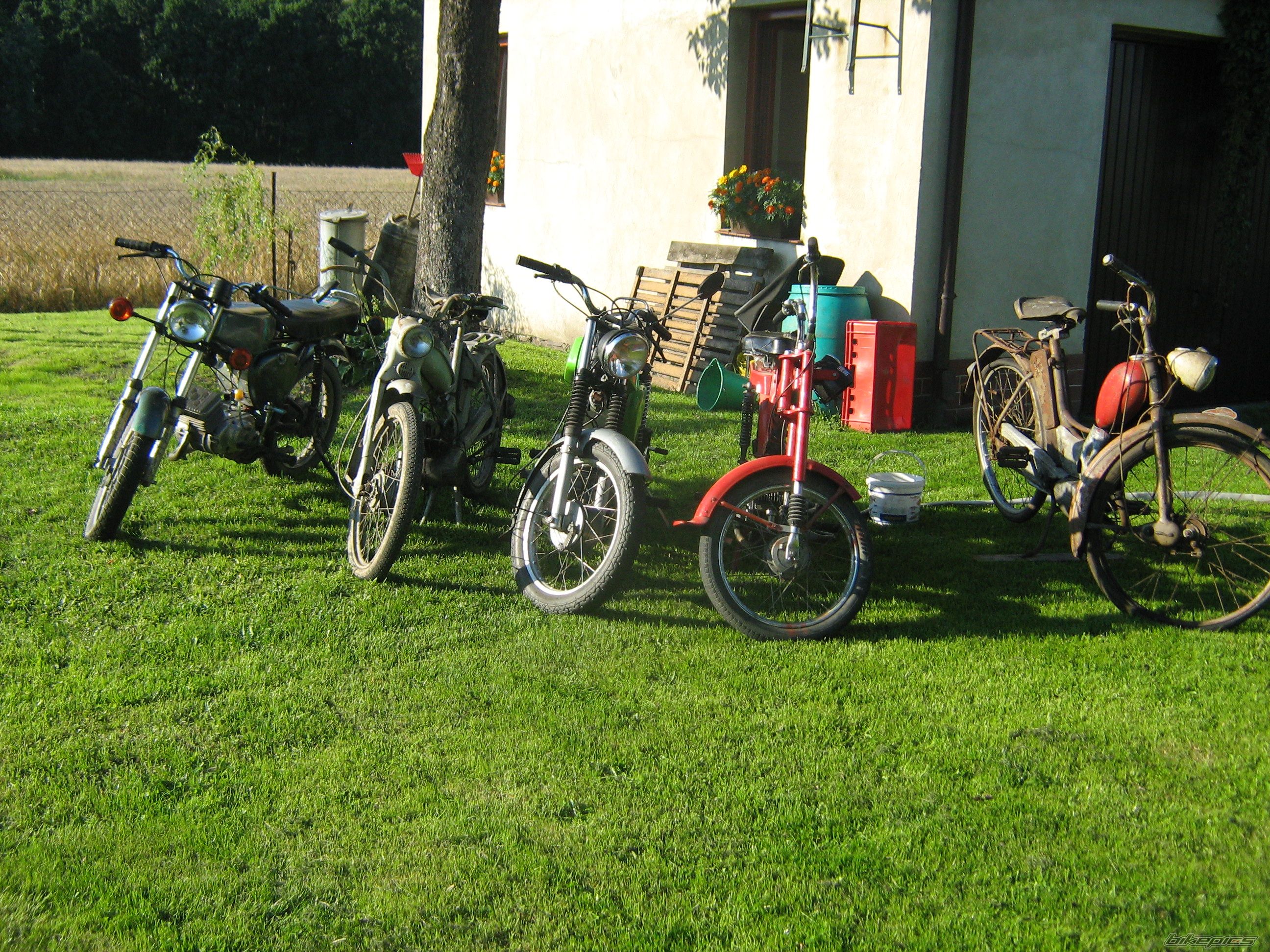 Bike Photo 1393248