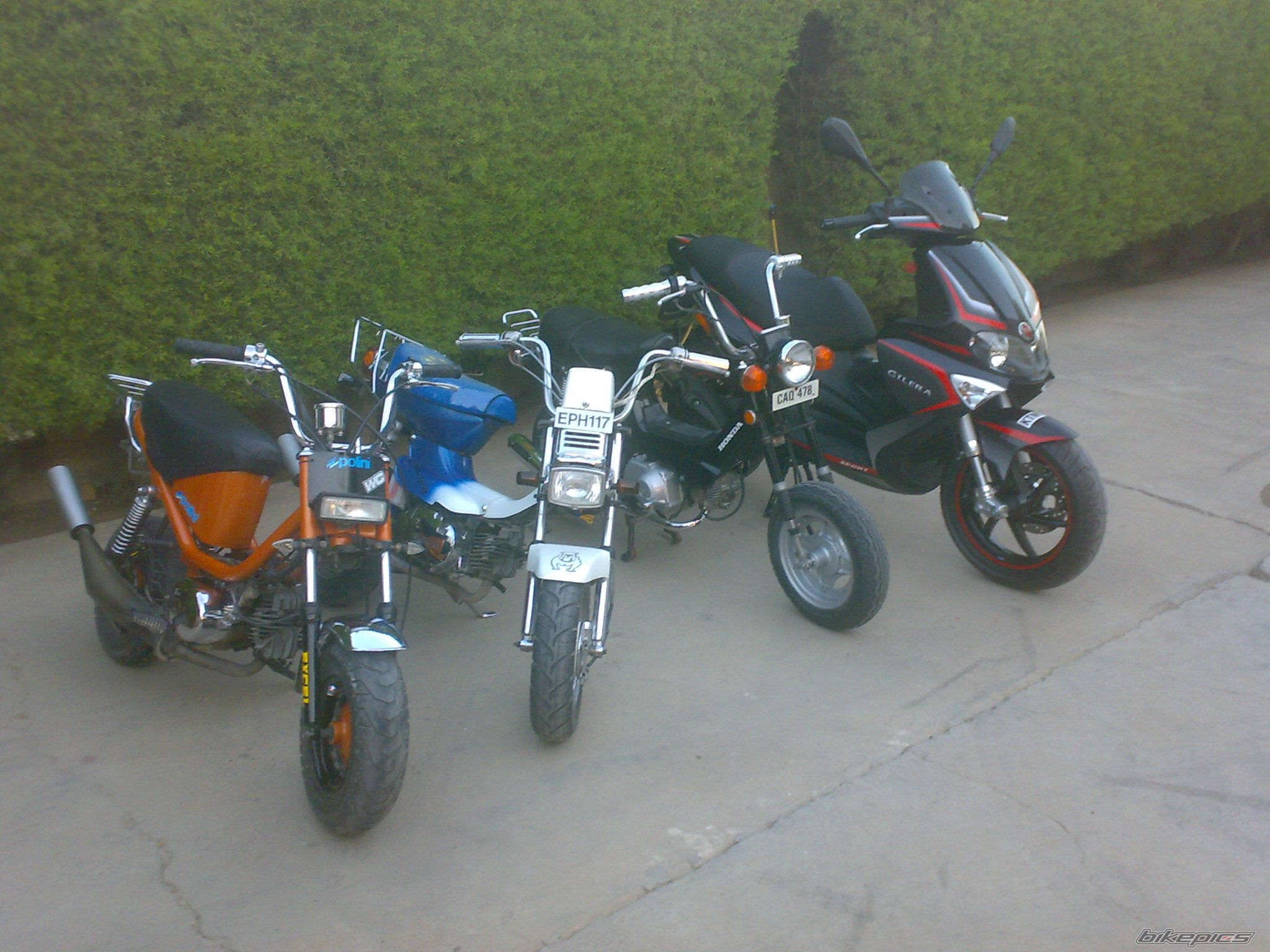 Photo 1393354