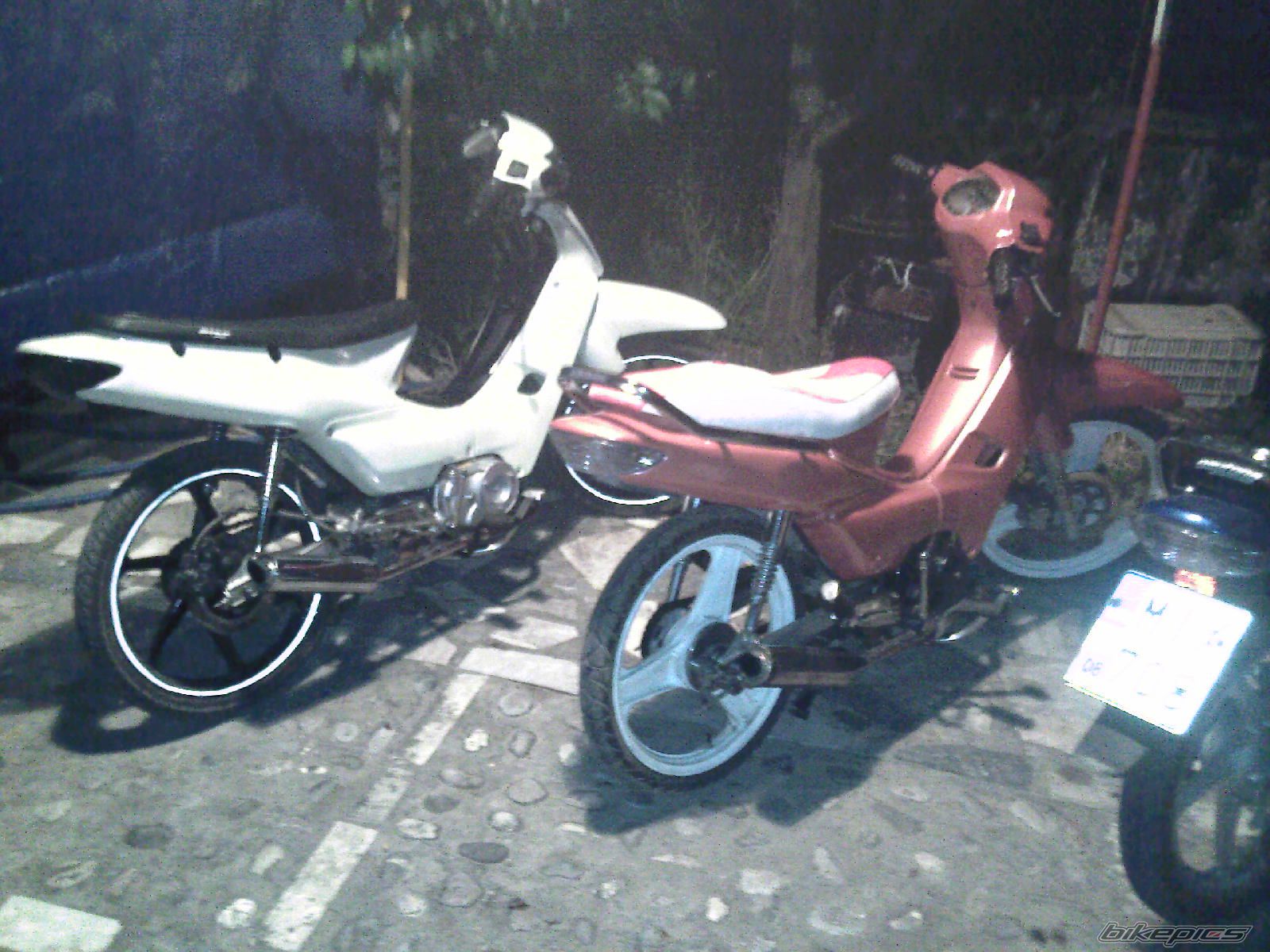 Photo 1393379