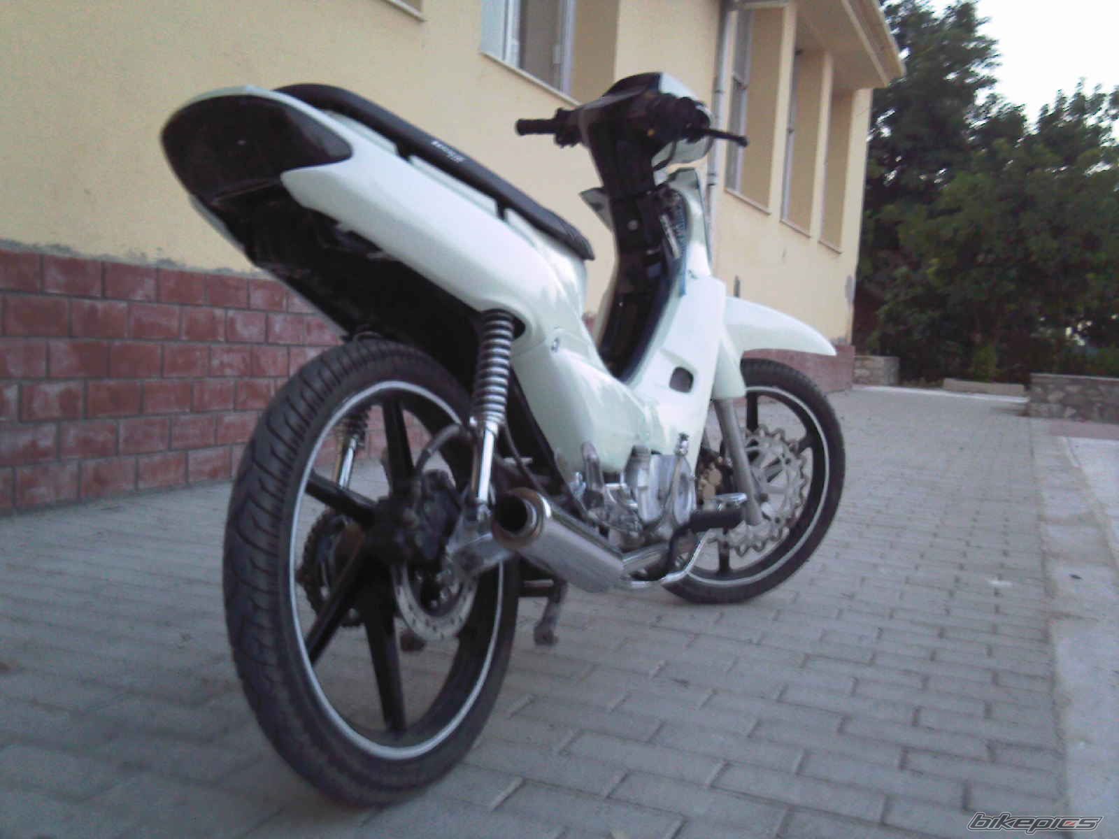 Photo 1393381