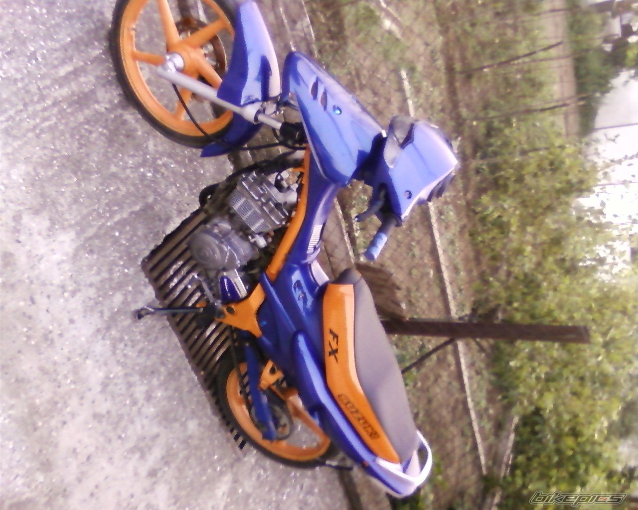 Photo 1393426