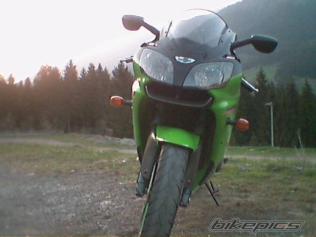 Photo 139344