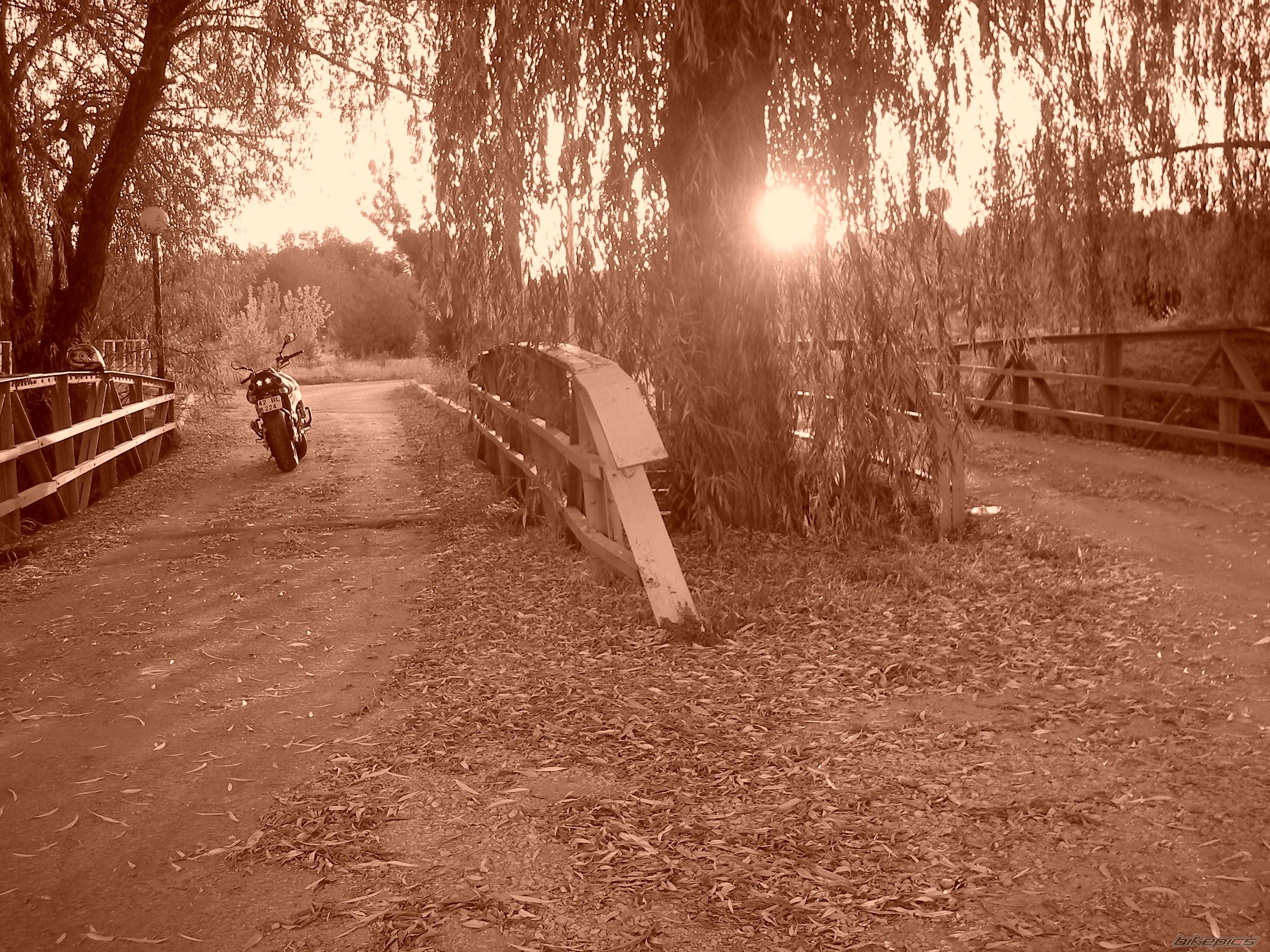 Photo 1393491