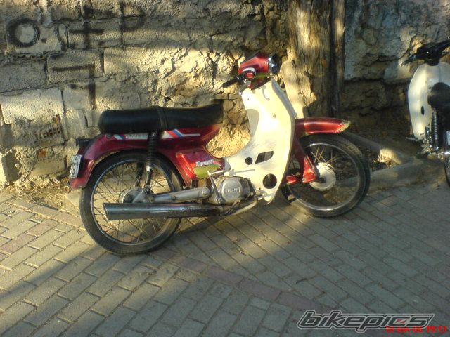 Photo 1393499