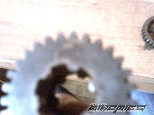 Photo 1393507