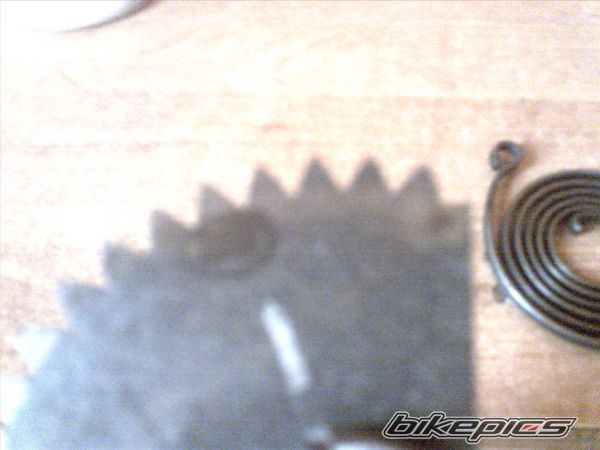 Photo 1393510