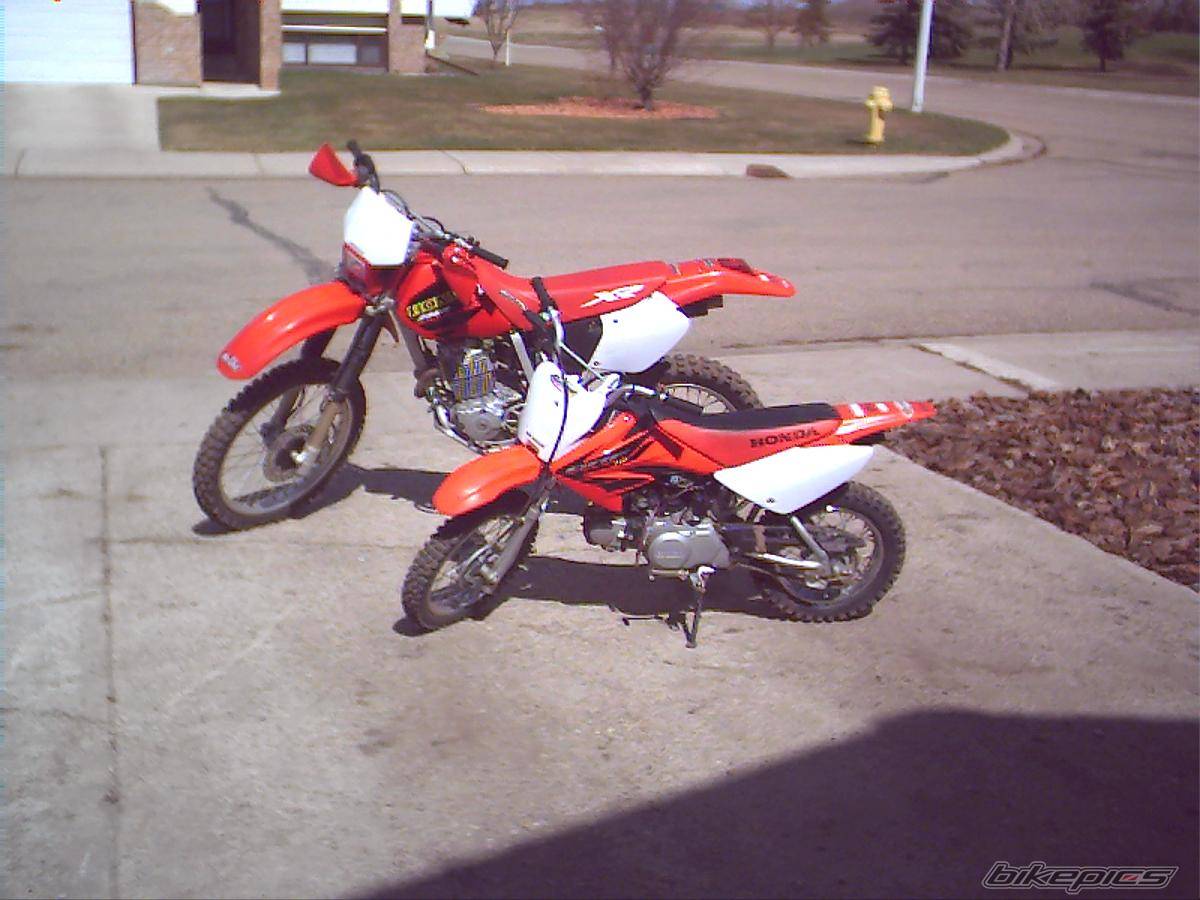 Photo 139353