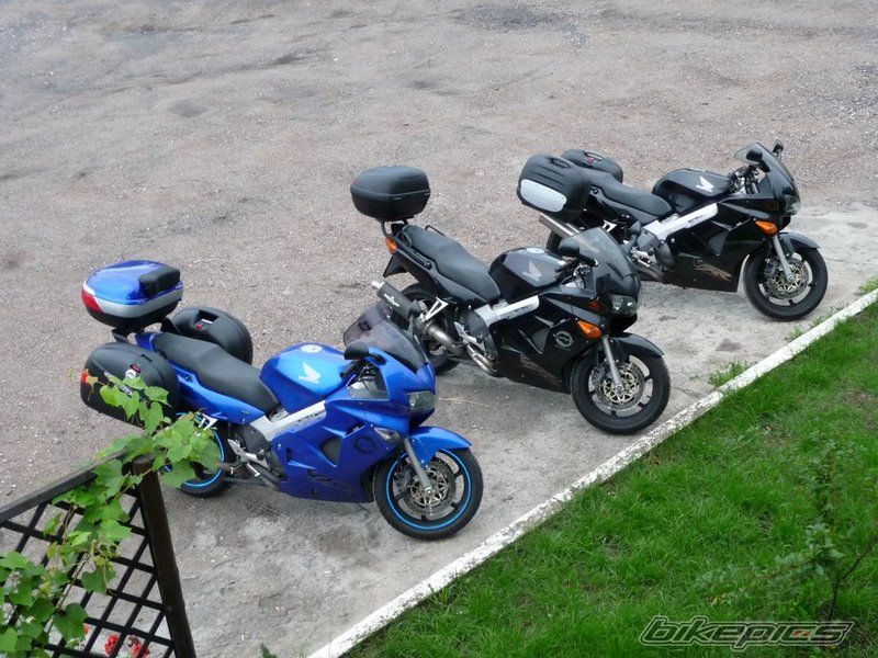 Photo 1393541