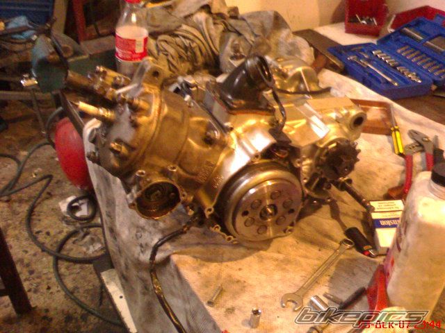 Photo 1393727