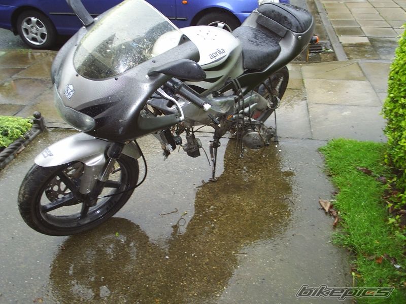 Photo 1393754