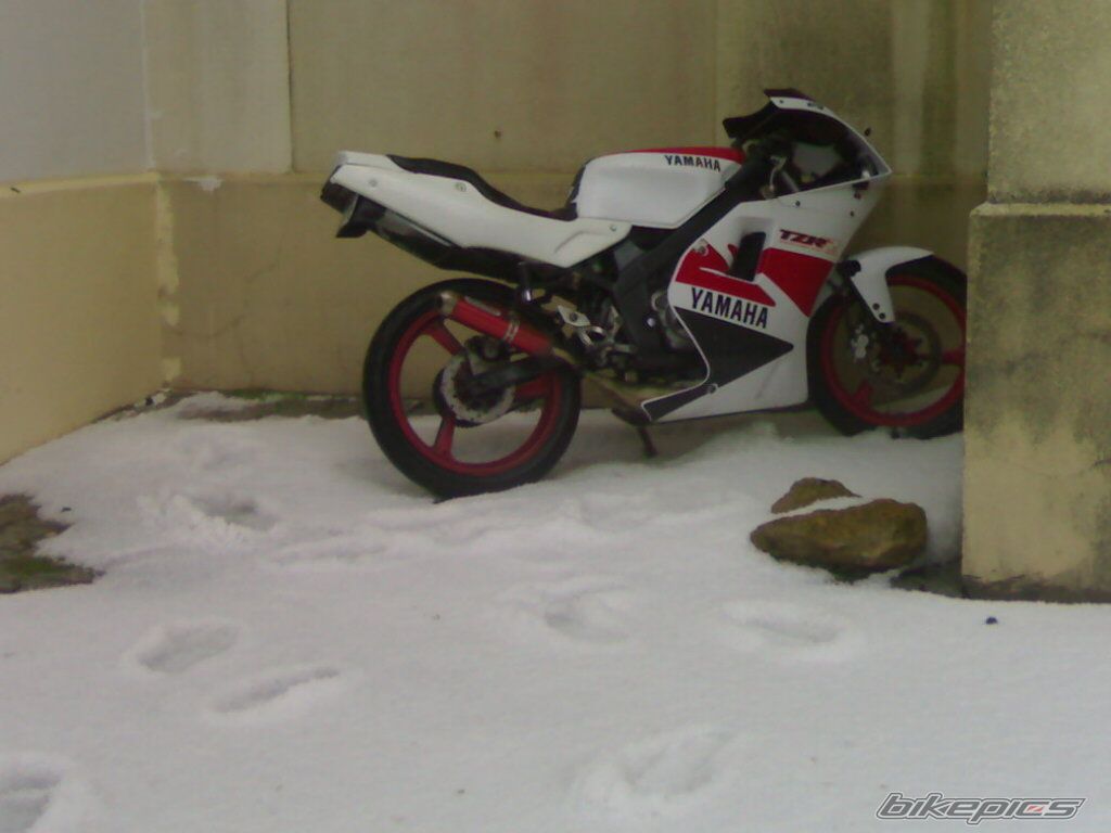 Photo 1393755