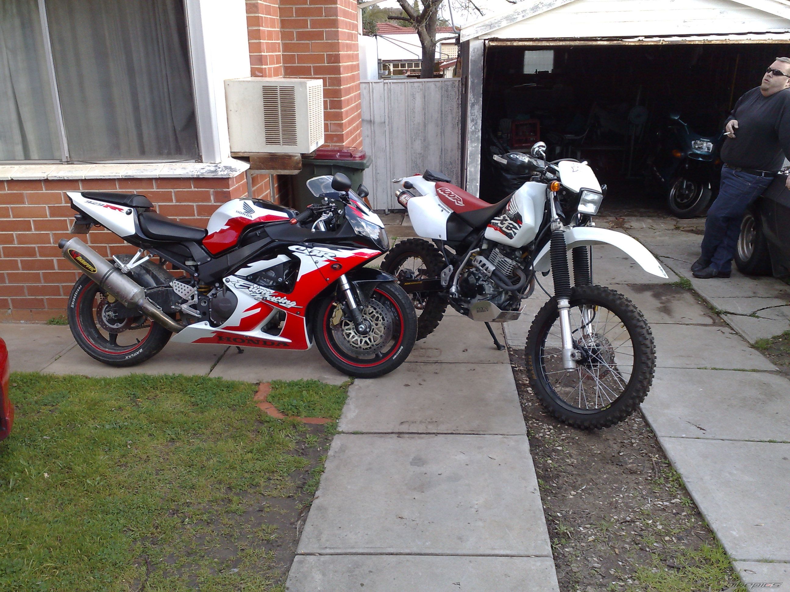 Photo 1393781