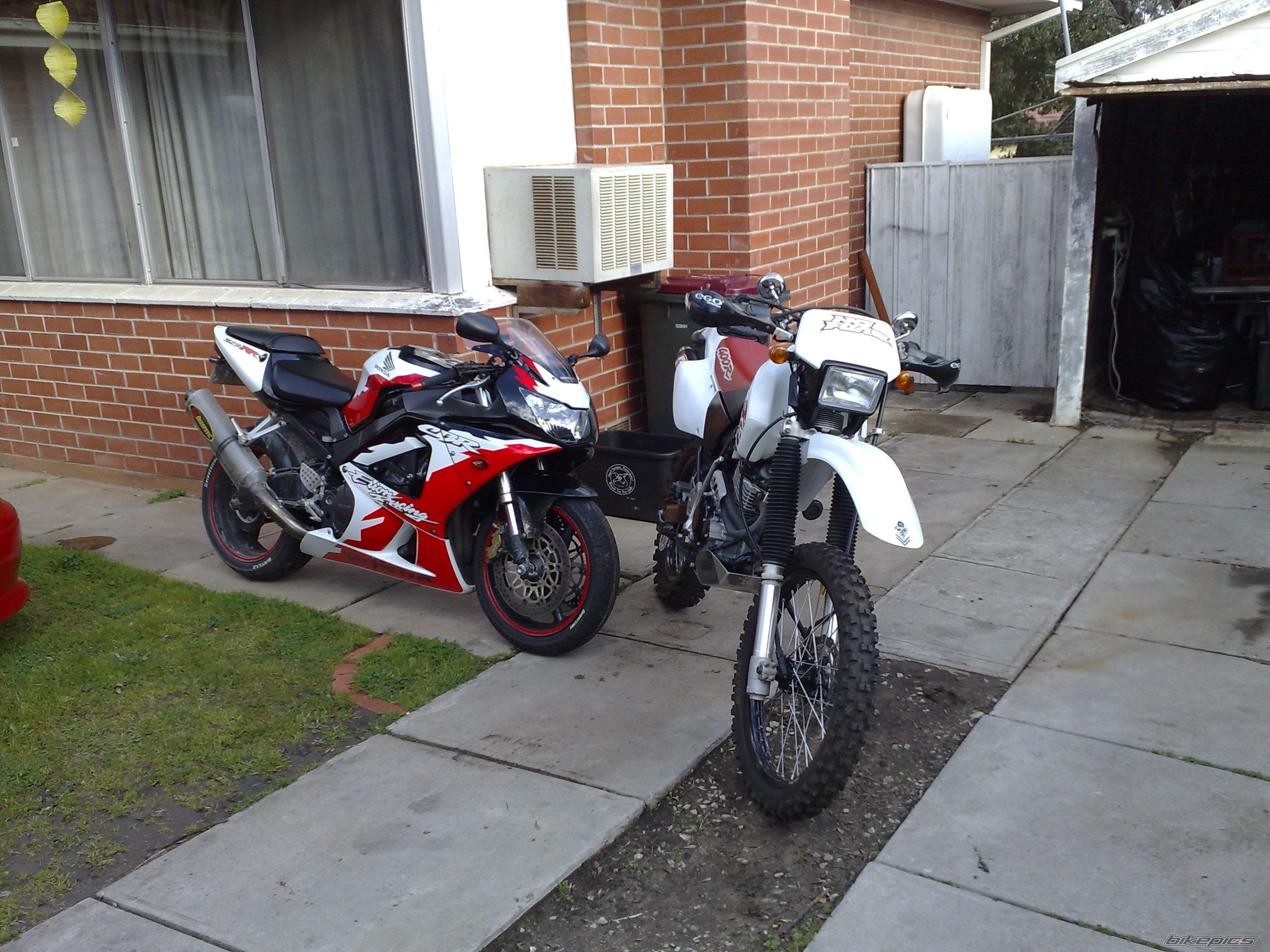 Photo 1393782