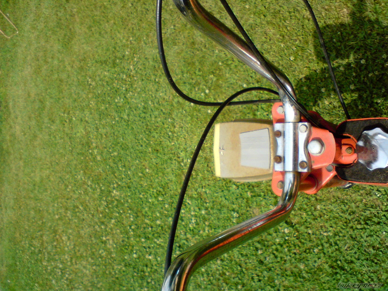 Photo 1393861