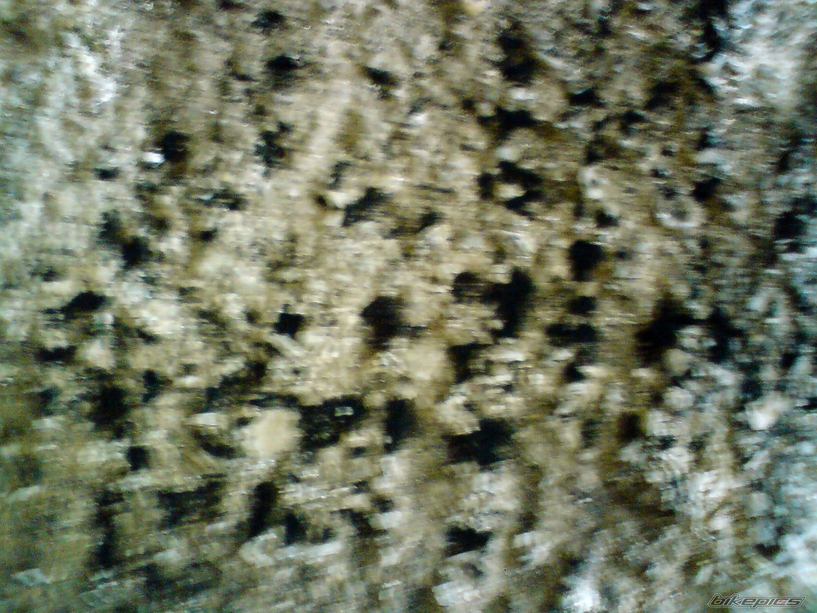 Photo 1393862