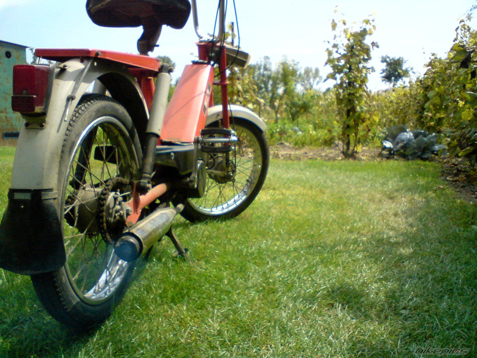 Photo 1393863