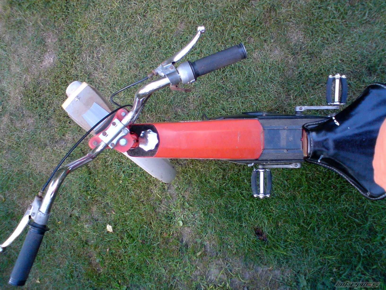 Photo 1393868