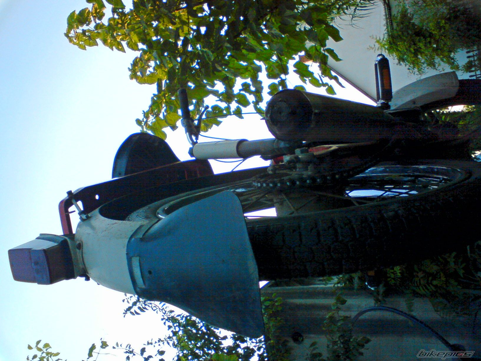 Photo 1393873