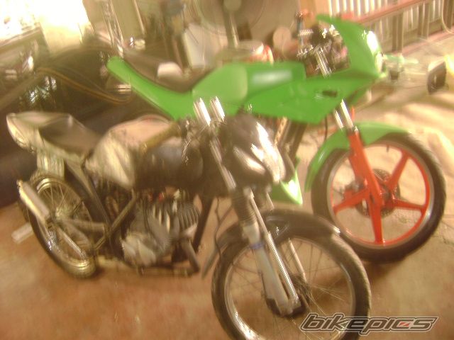 Photo 1393907