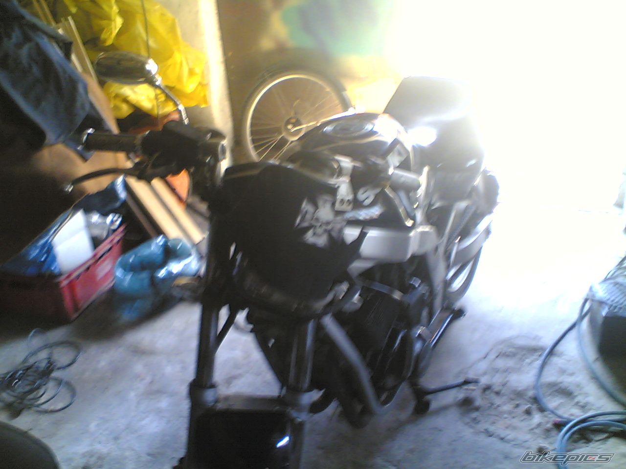 Photo 1393921
