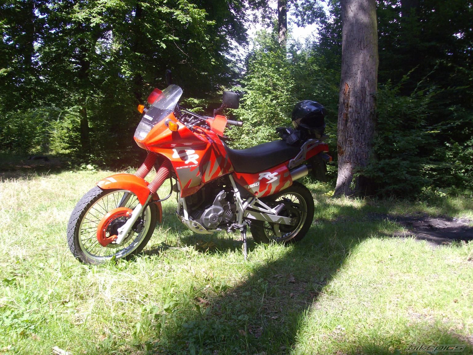 Photo 1393924