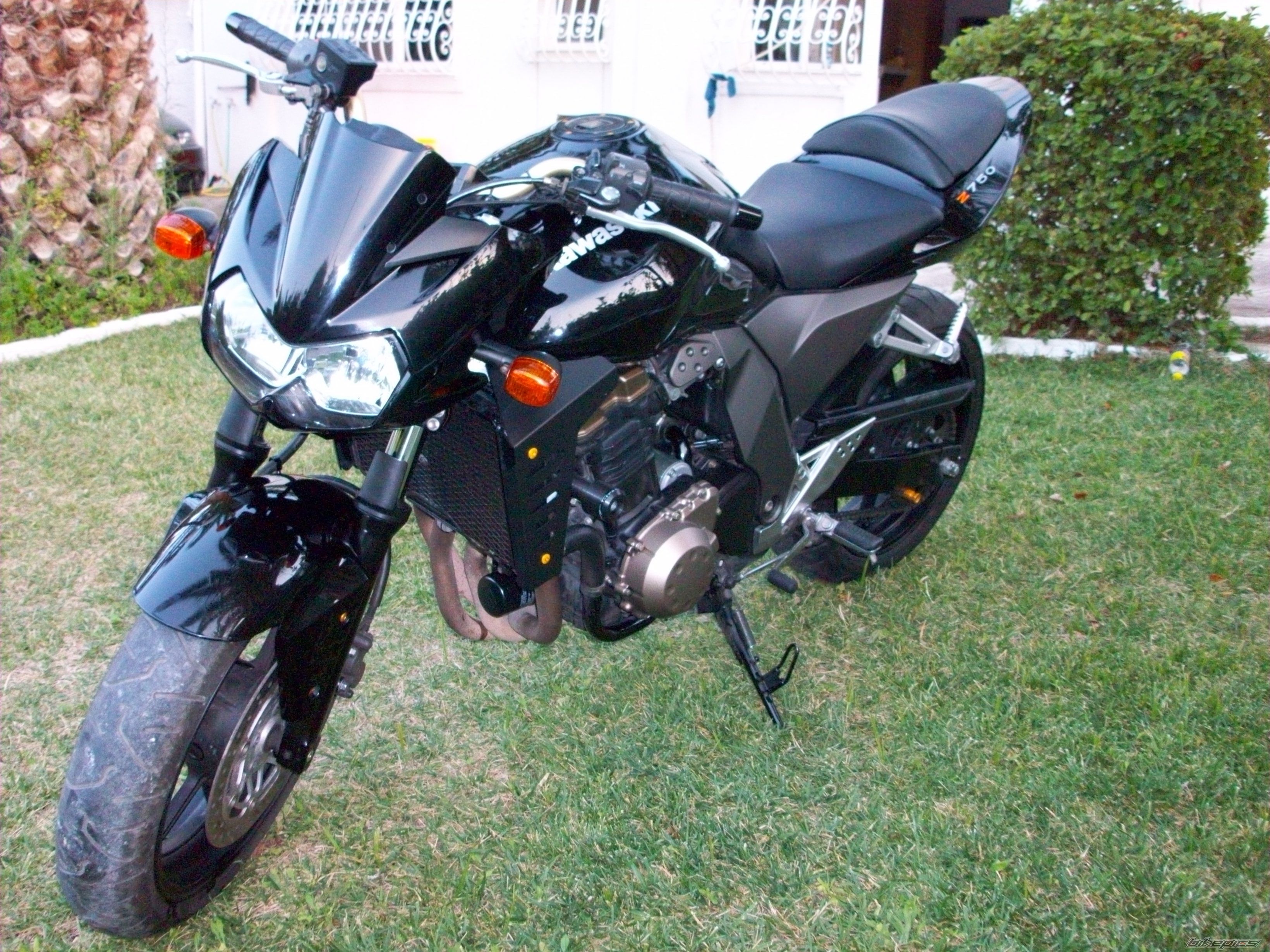 Photo 1393937