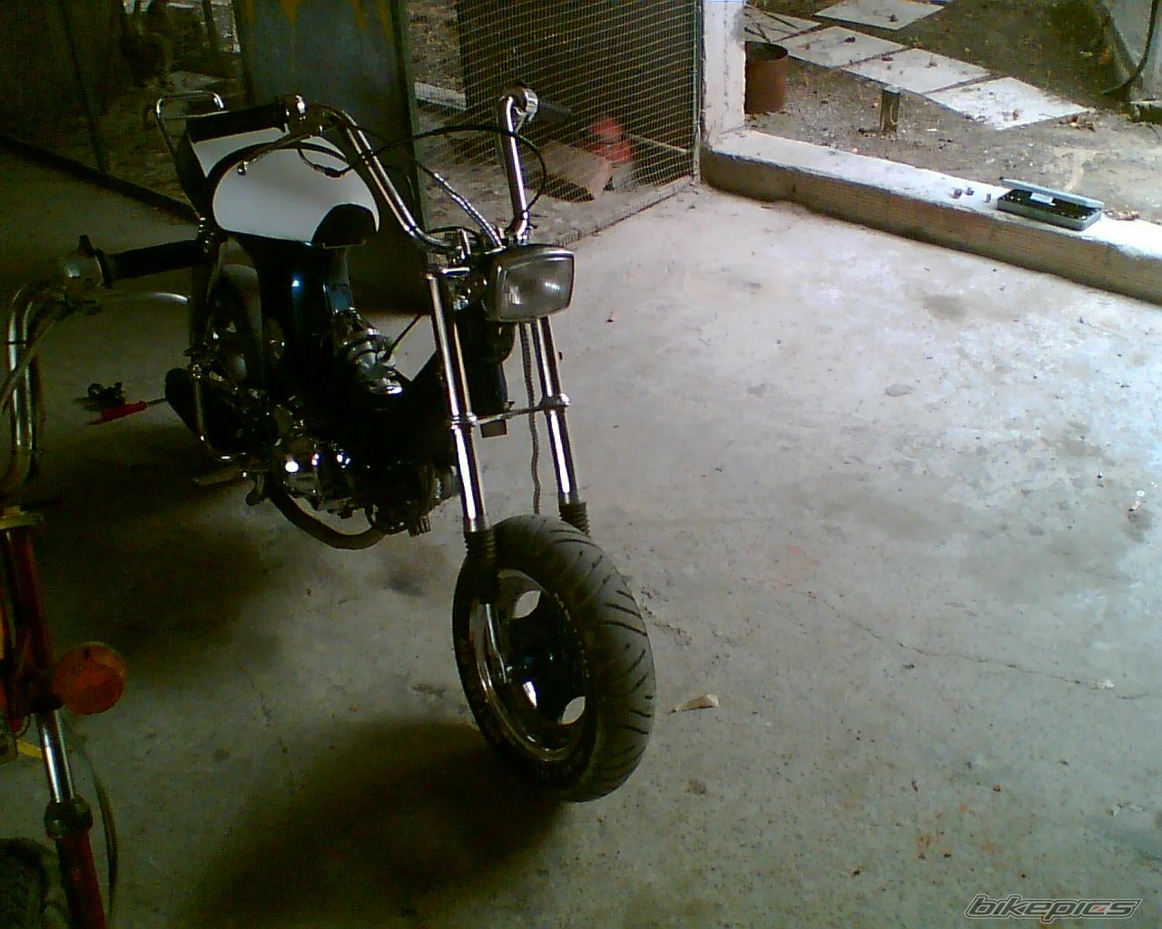 Photo 1393979