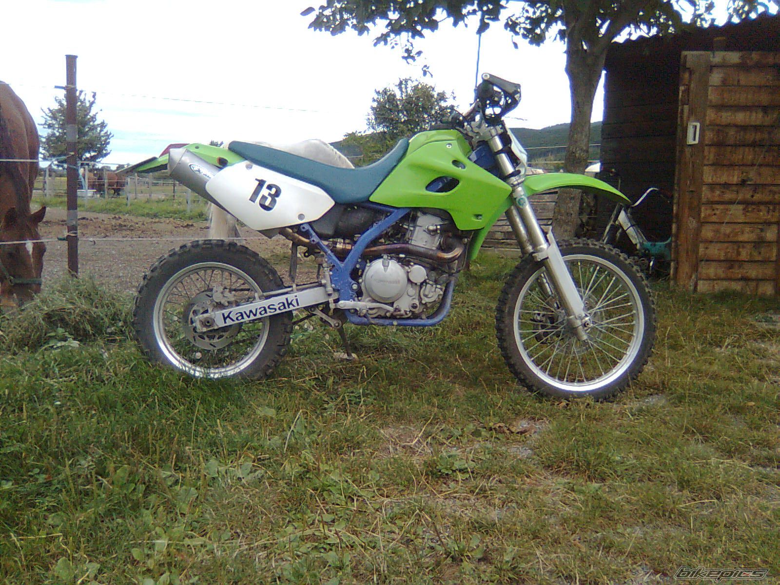 Photo 1393994