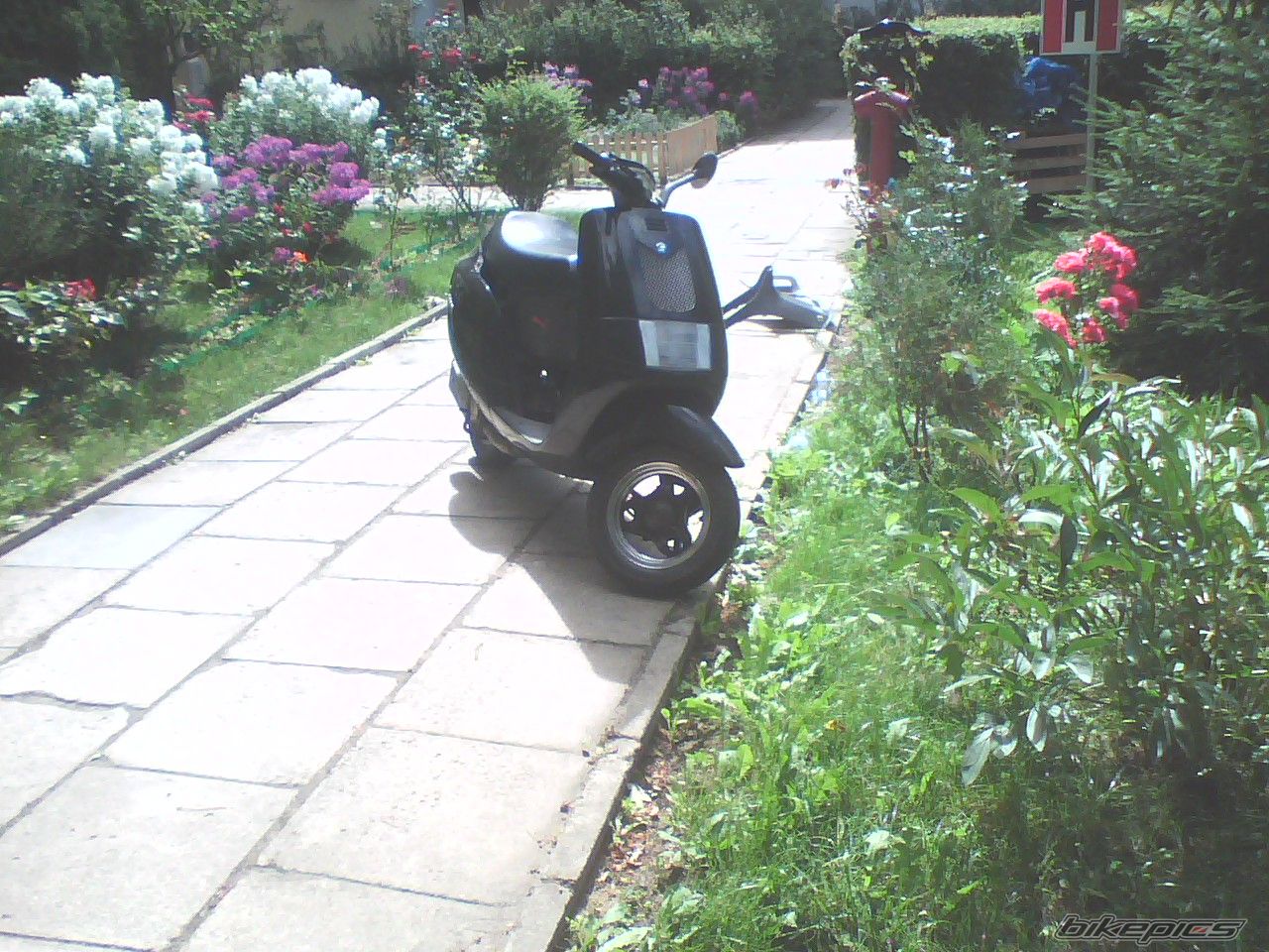Photo 1394079