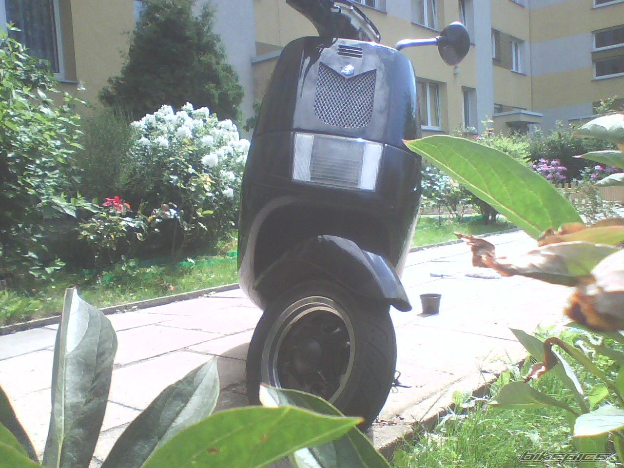Photo 1394080