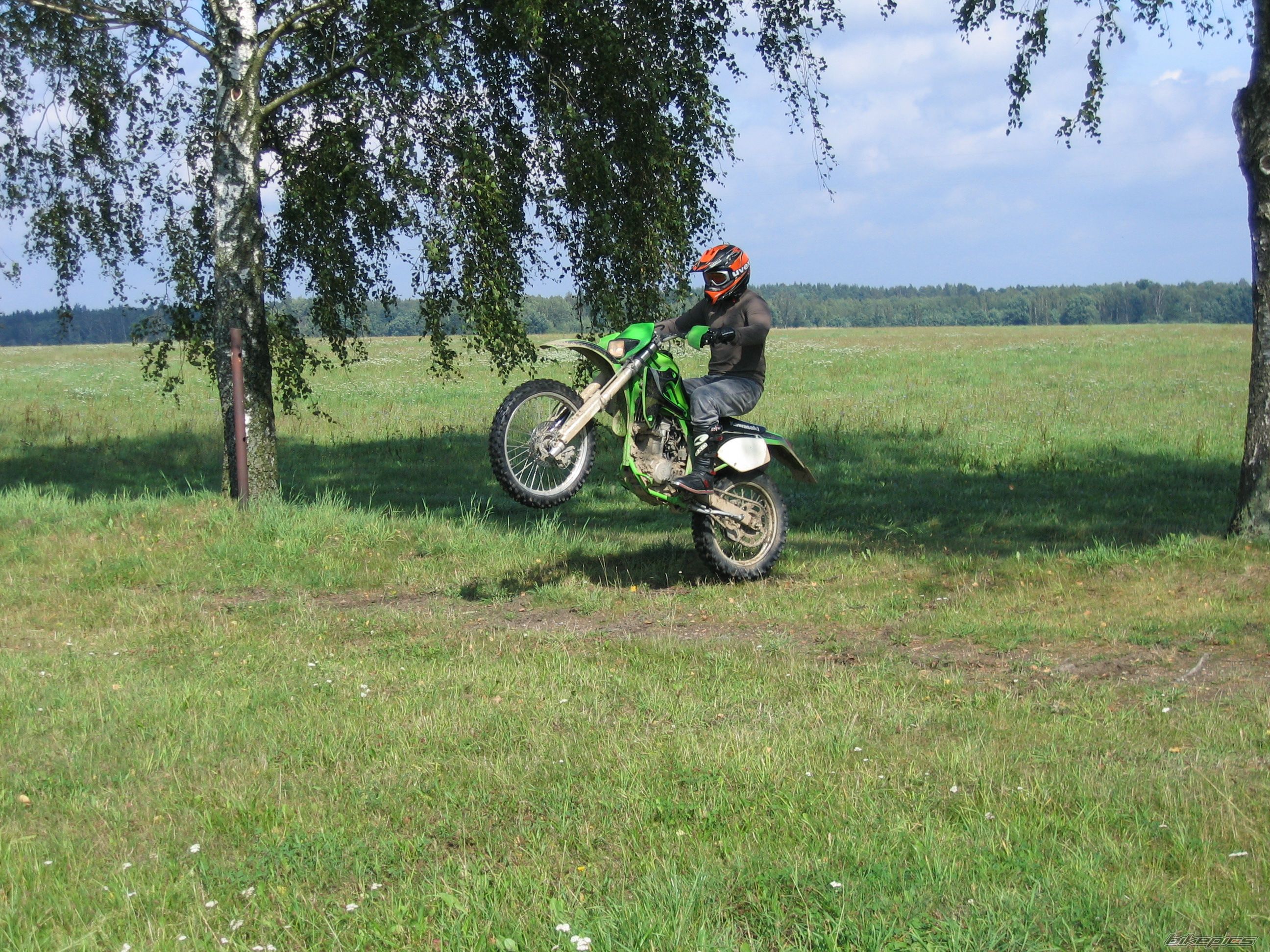 Photo 1394165