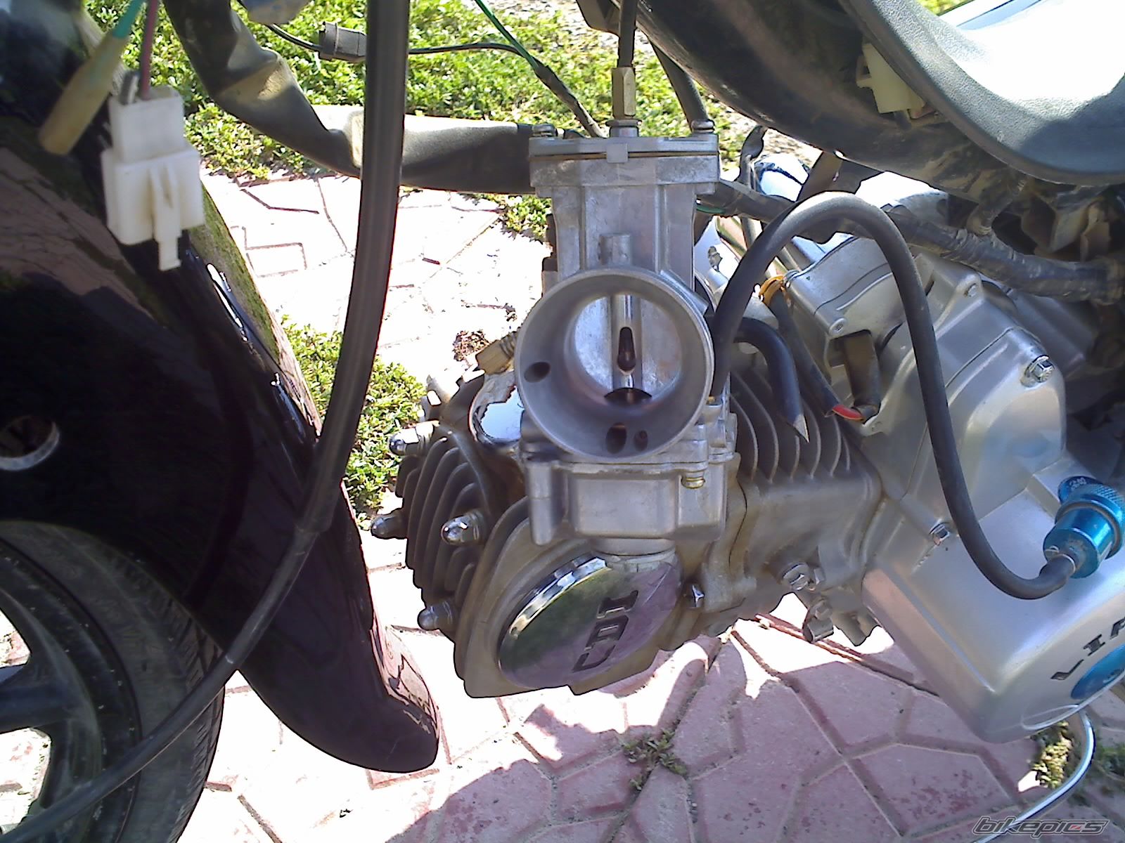 Photo 1394183