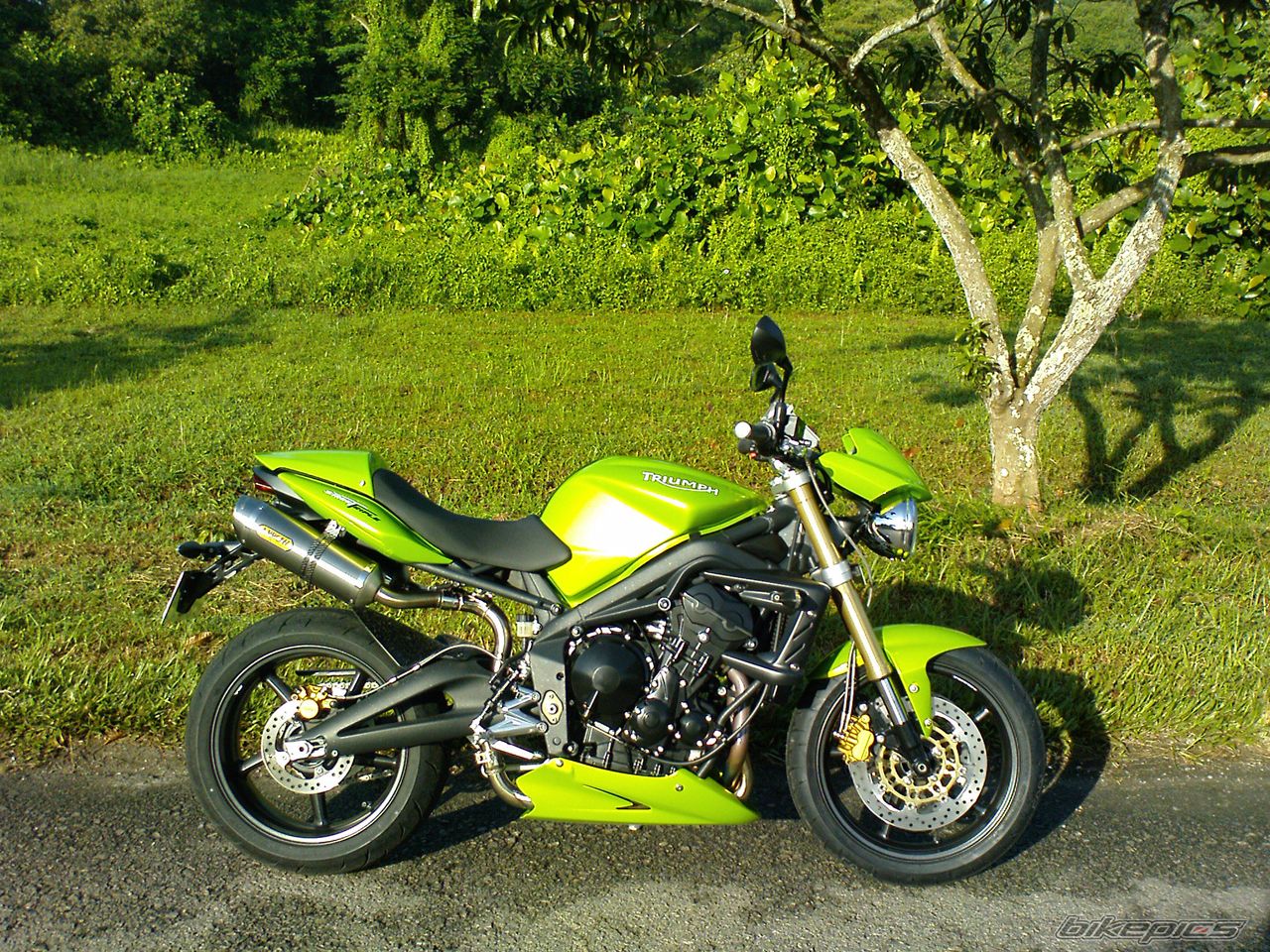 Bike Photo 1394187