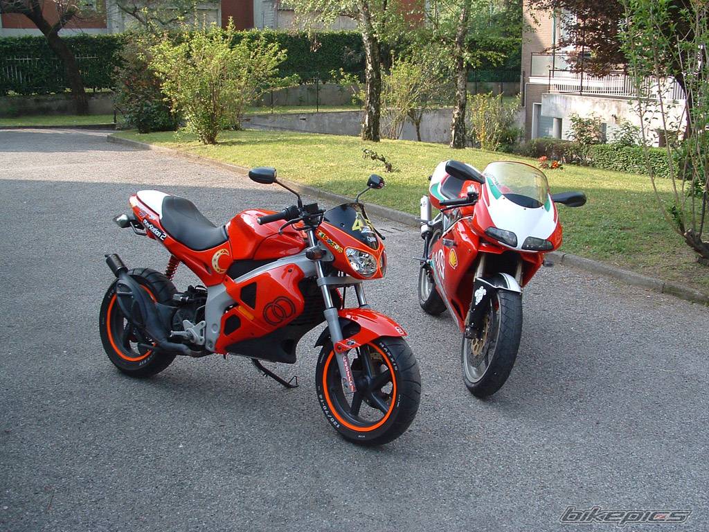 Photo 139431